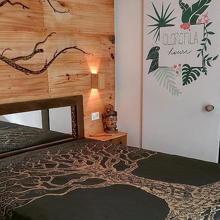 Clorofila House Glamping Naturista Ubatuba Exterior photo