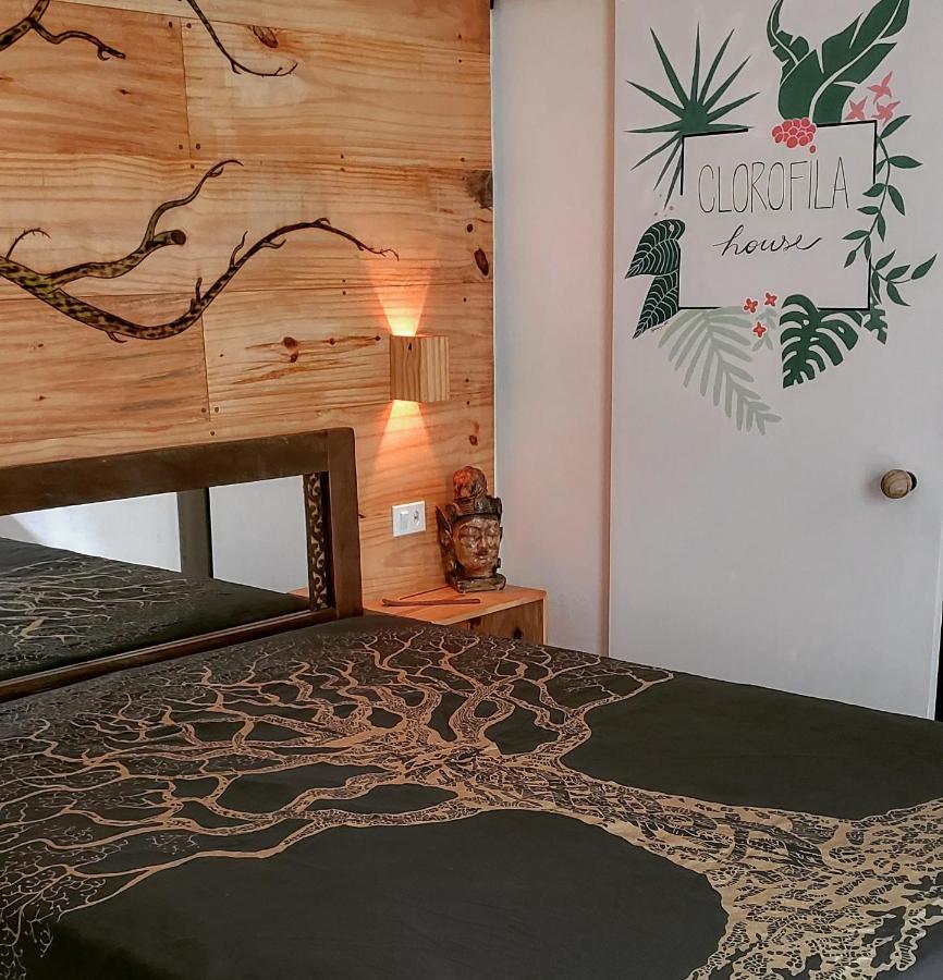 Clorofila House Glamping Naturista Ubatuba Exterior photo