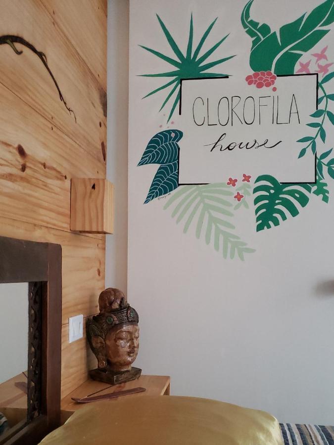 Clorofila House Glamping Naturista Ubatuba Exterior photo