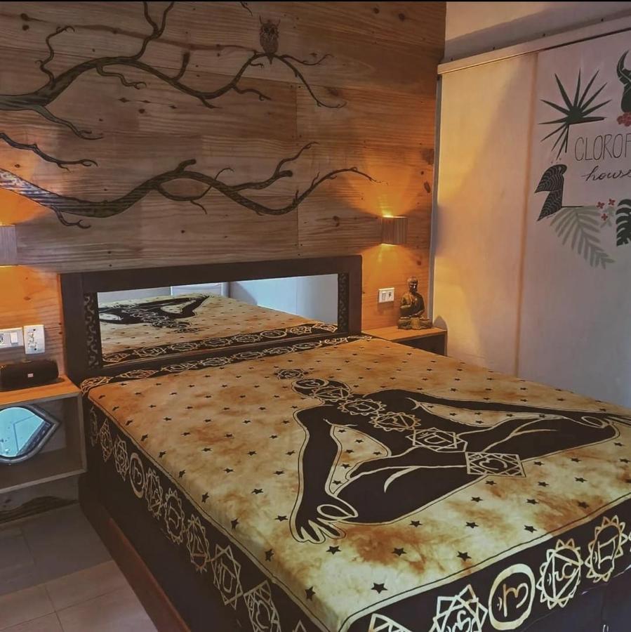 Clorofila House Glamping Naturista Ubatuba Exterior photo