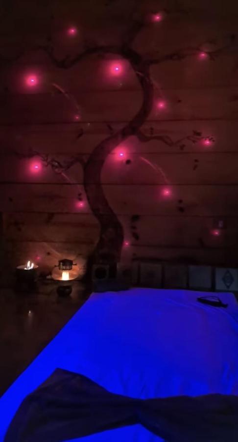 Clorofila House Glamping Naturista Ubatuba Exterior photo